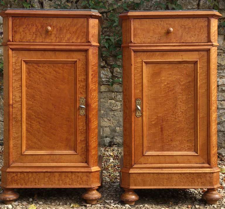 Pair of Antique Bedside Cupboards WIth Marble Tops For Sale 1
