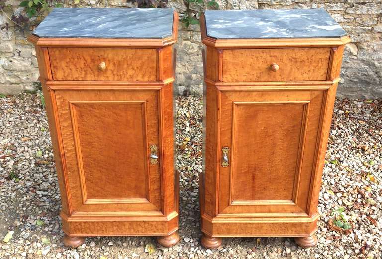 Pair of Antique Bedside Cupboards WIth Marble Tops For Sale 2