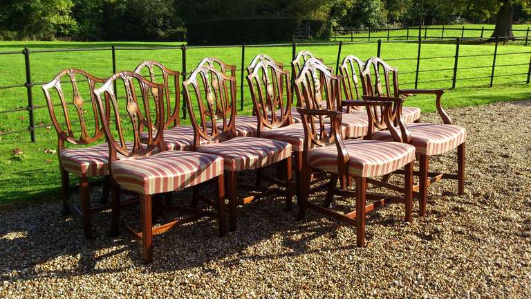 12 dining chairs for sale