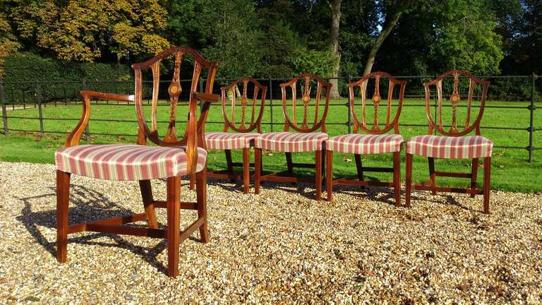 Set of 12 Antique Dining Chairs In Excellent Condition In Gloucestershire, GB