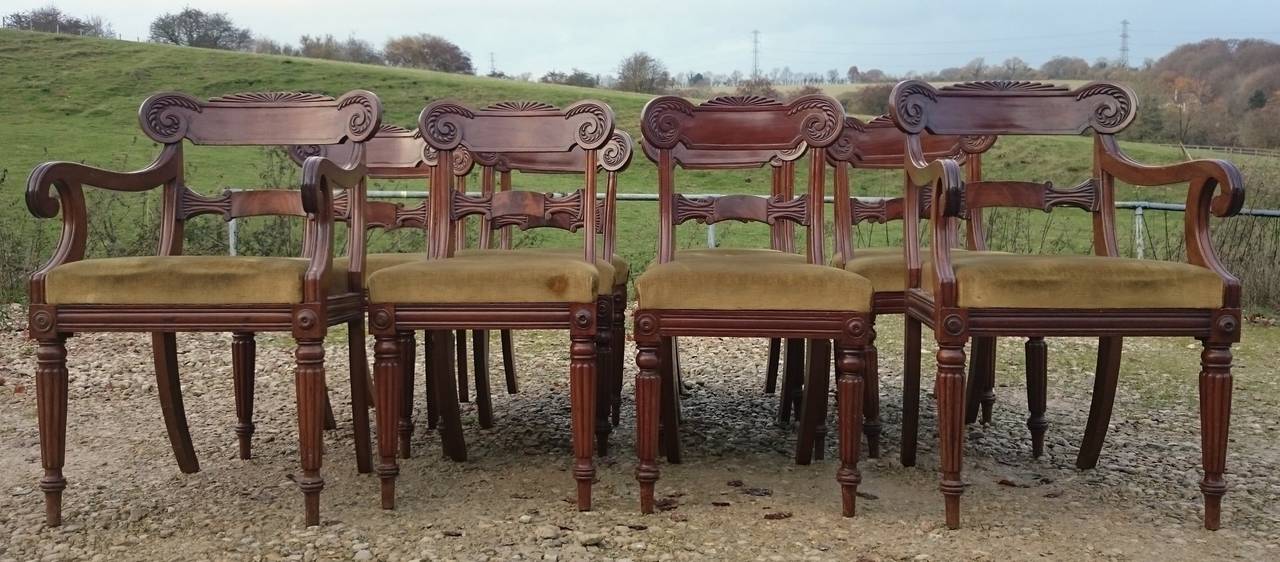 Very fine quality set of twelve antique dining chairs. This set of chairs are large and comfortable, they have lots of great Regency devices, carved scrolls, reeded legs and so on. The seats are removable to make changing the fabric simpler but as