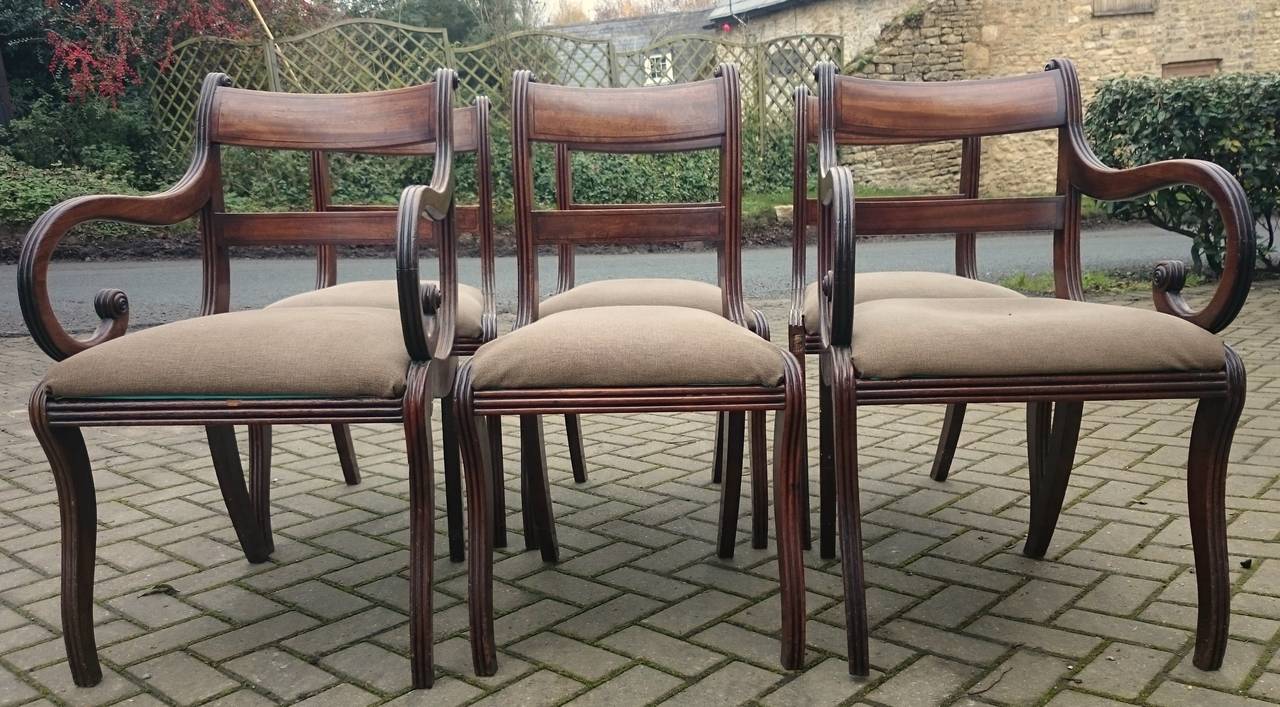 Set of Six Regency Mahogany Dining Chairs In Excellent Condition In Gloucestershire, GB
