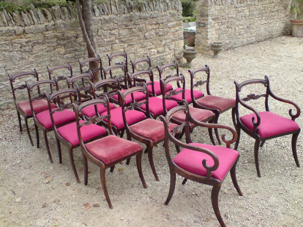 Set of 18 Regency Dining Chairs