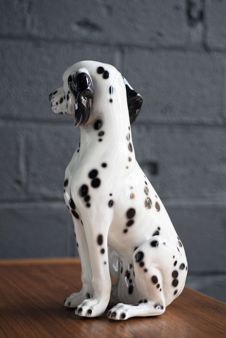 Italian Porcelain Dog