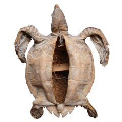 Antique Sea Turtle