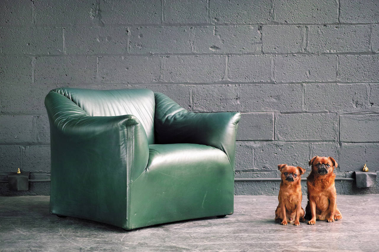 Leather Tentazione Chair by Mario Bellini