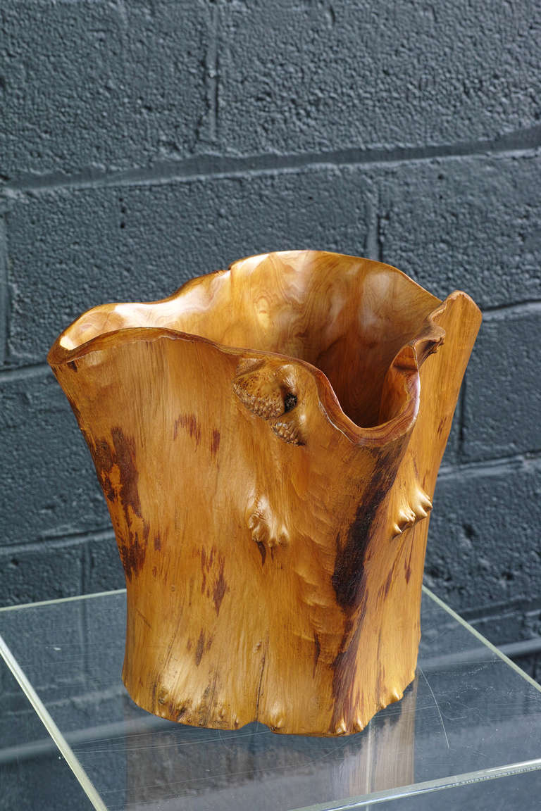 a hollowed out tree trunk with rich, warm tone

signed