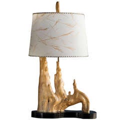 Cypress Knee Lamp