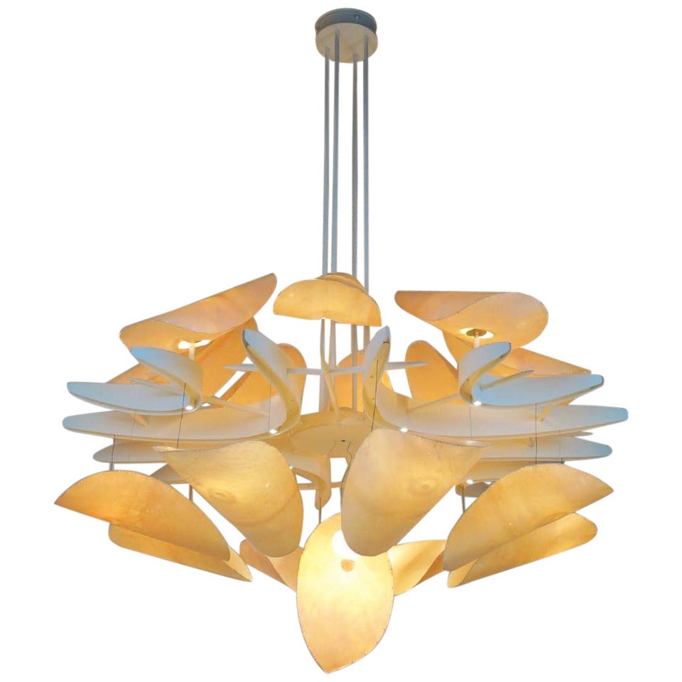 Chandelier Philarmonie