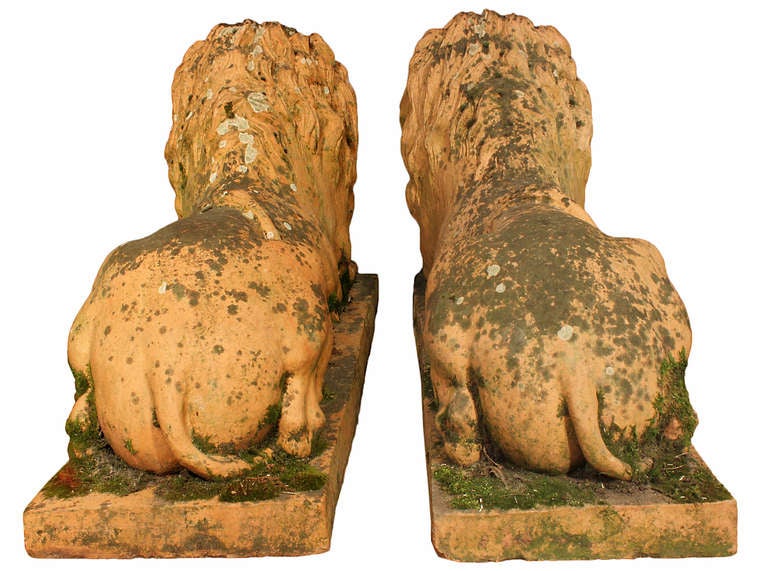 Pair of Mid 19th Century Terra Cotta Lions ca. 1850 1