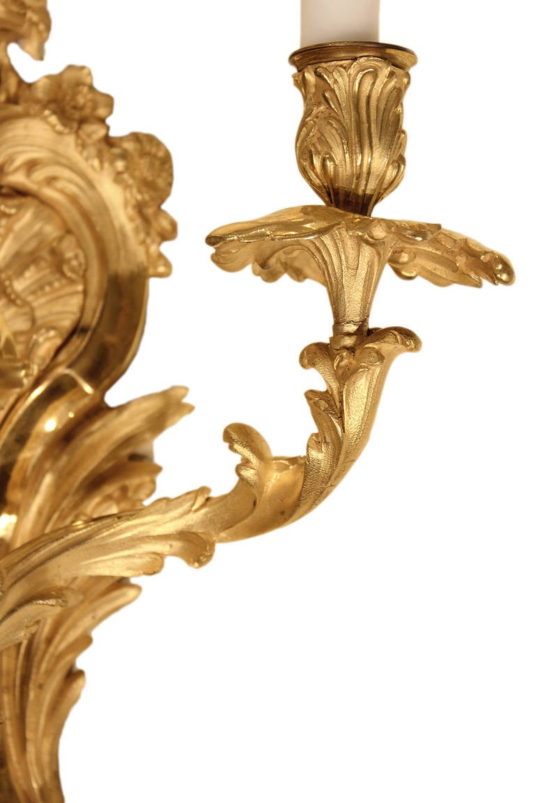 French Mid-19th Century, Louis XV Style Ormolu and  Bronze, Two Arm Sconces In Excellent Condition In West Palm Beach, FL