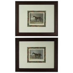 Pair Of English Hand-colored Antique Horse Engravings