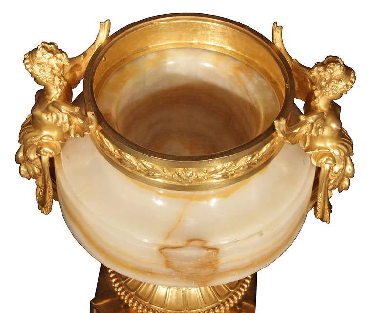French 19th Century Neoclassical St. Onyx and Ormolu Urn 2