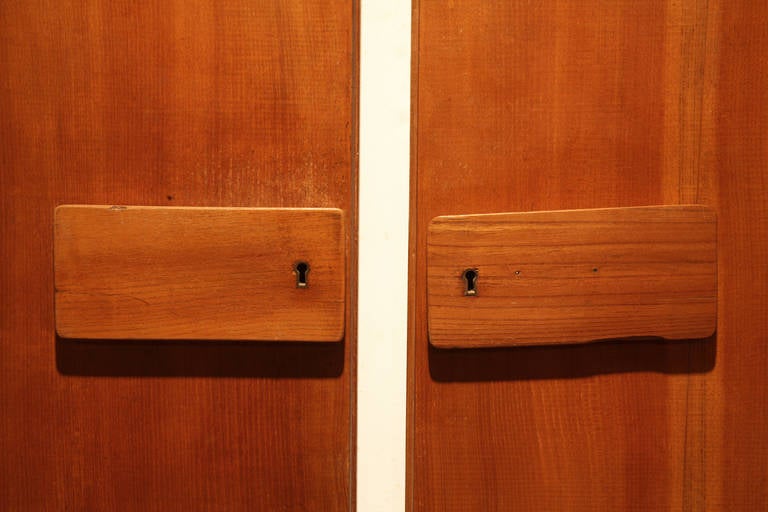 Modern Rare Pair of Gio Ponti Wardrobe Doors, 1955