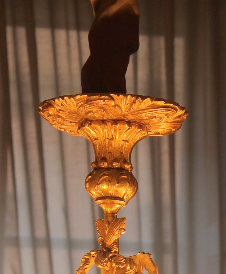 French Rococo Gilt Bronze Eight-Arm Chandelier with Foliate Patterns 5