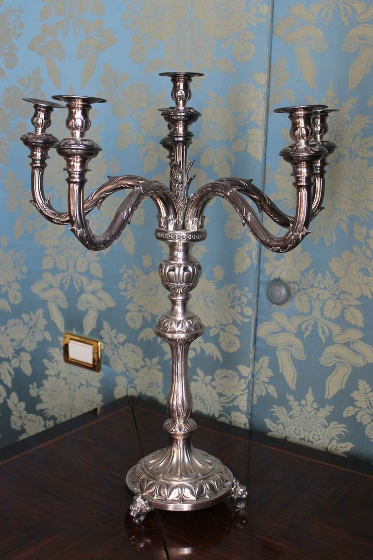 Florence, 20th century
A pair of tall 7-light  magnificent candelabra, nice old high quality piece.
Perfect condition.
Height 68 cm
Length 50 cm
Base 24 cm