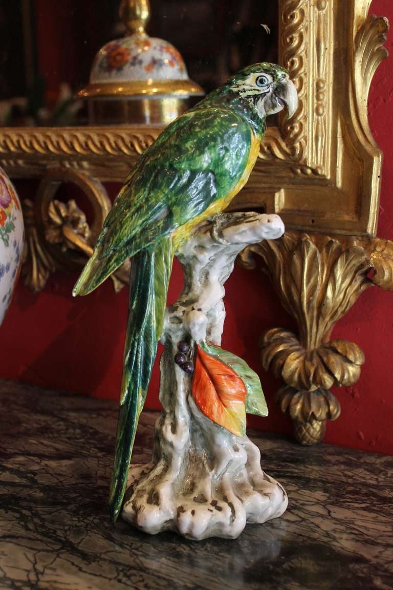 cacciapuoti porcelain