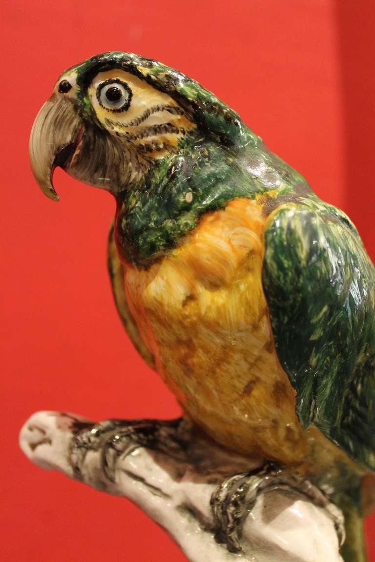 An Italian Porcelain Parrot Statue signed G. Cacciapuoti 1