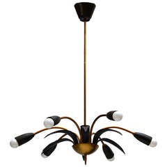 French Chandelier, 1950s 12
