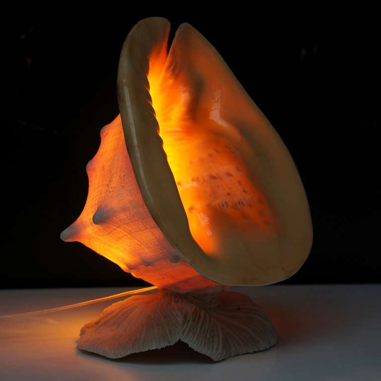 Beautiful shell table lamp.