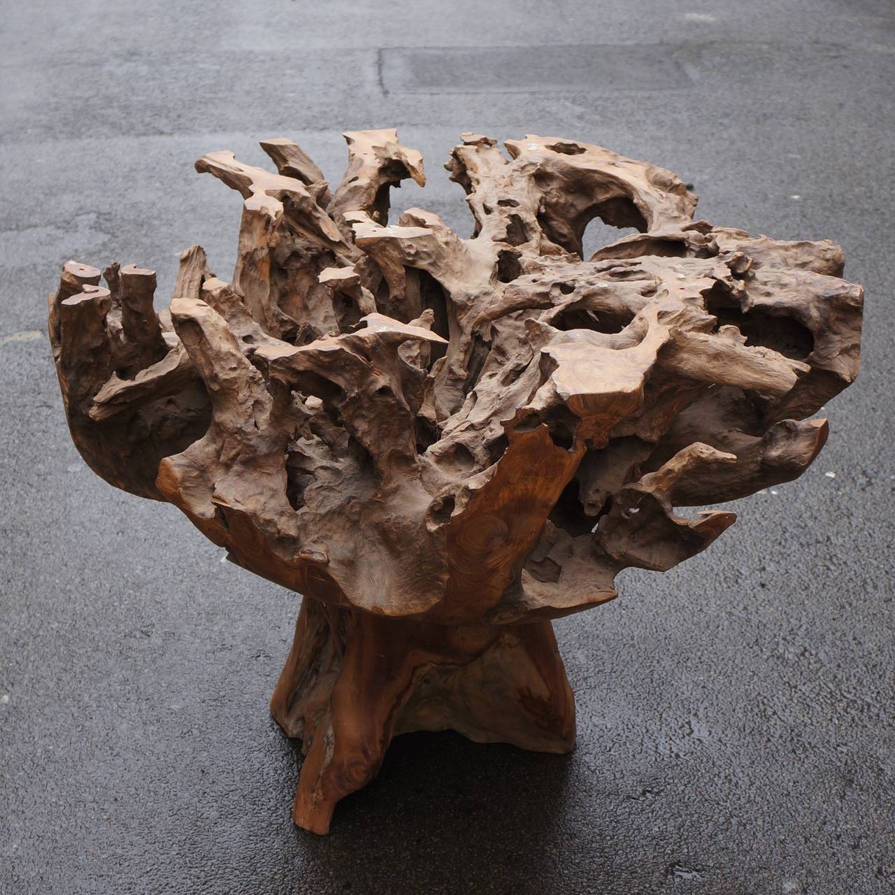 European Spectacular Sculptural Large Burl Wood Table
