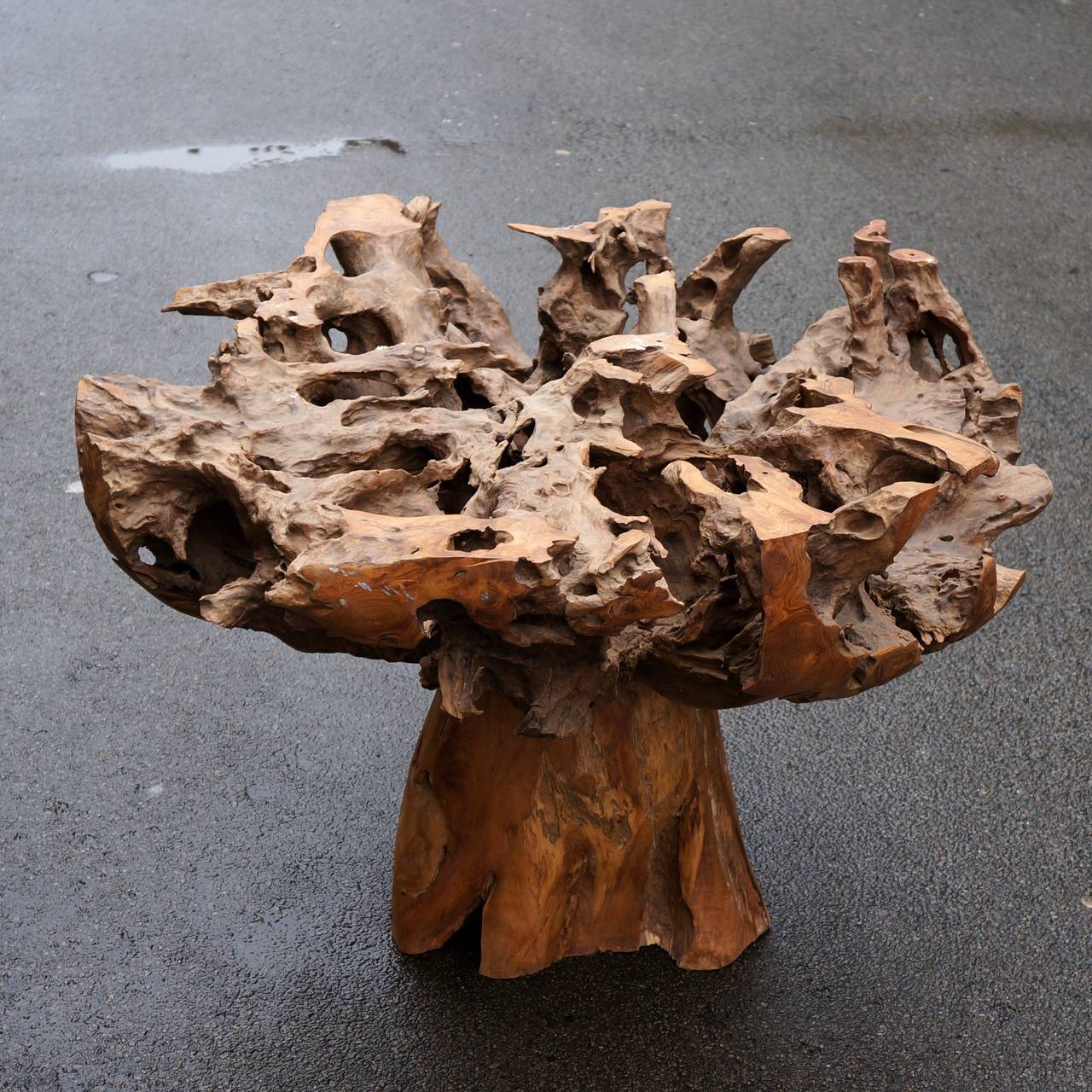 Spectacular Sculptural Large Burl Wood Table 1