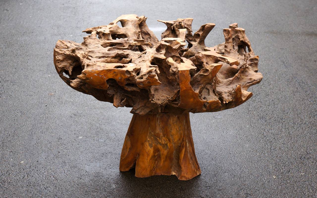 Spectacular Sculptural Large Burl Wood Table 2