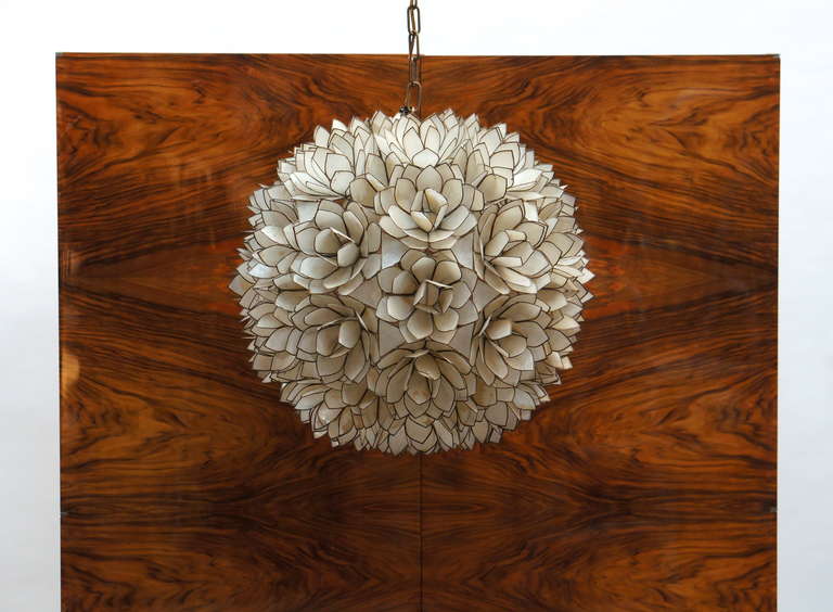 hanging shell lamp