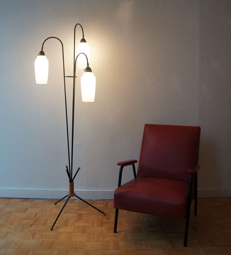 1950s Italian Floor Lamp 4