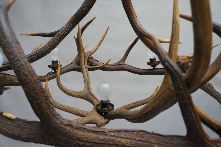 Mid-Century Modern Extra-Large French Antler Five-Light Chandelier, circa 1920