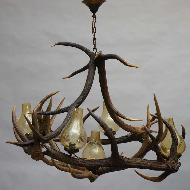 Extra-Large French Antler Five-Light Chandelier, circa 1920 3