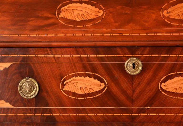 19th Century Dutch Marquetry Walnut Chest of Drawers 1