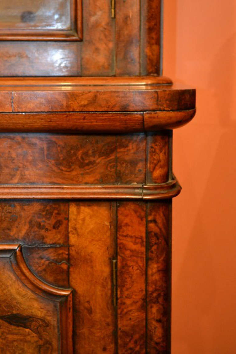 19th Century Antique English Victorian Burr Walnut Bookcase 
