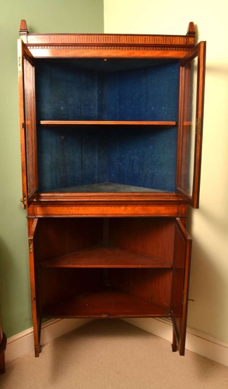 19th Century English Edwardian Satinwood Corner Cabinet 1