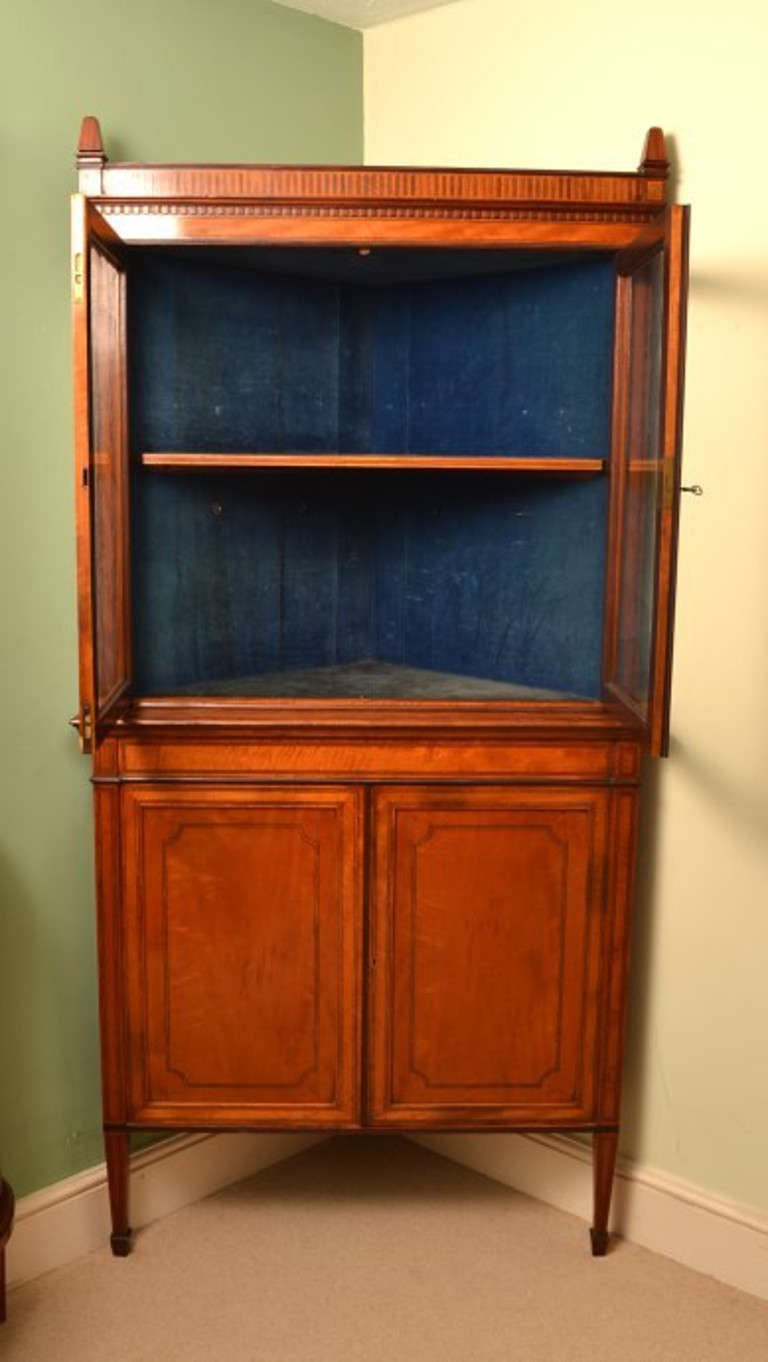 19th Century English Edwardian Satinwood Corner Cabinet 2