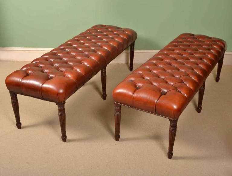 This is a beautiful, large, antique pair of George III mahogany banquettes or stools, circa 1800 in date.

They have fantastic button backed leather upholstery in a fabulous colour, browny burnt orange, and each stands on six elegant reeded