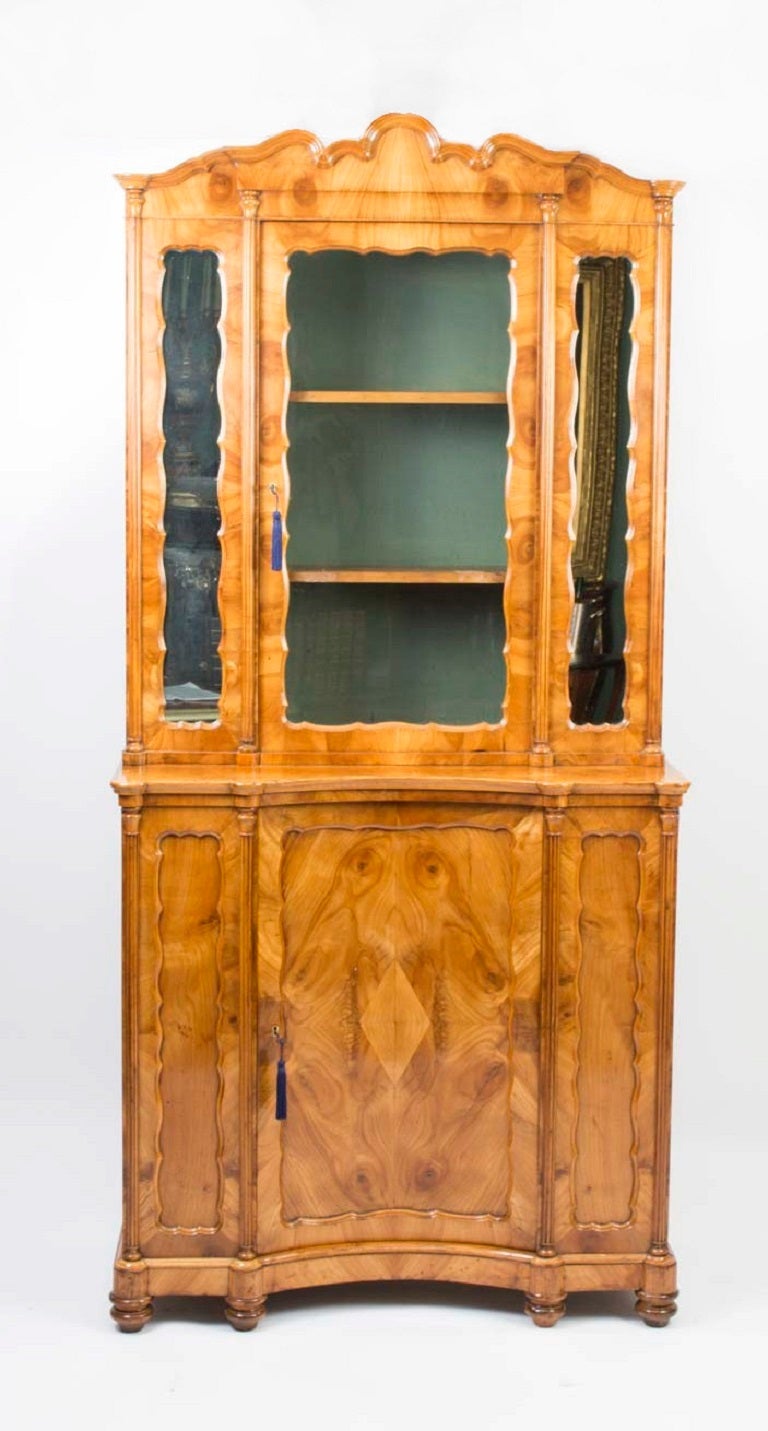 This is a fine French antique fruitwood bookcase, circa 1880. It has been crafted from the most beautiful fruitwood with shaped cornice above a glazed door flanked by mirror panels, the base fitted with an attractive concave door which opens to