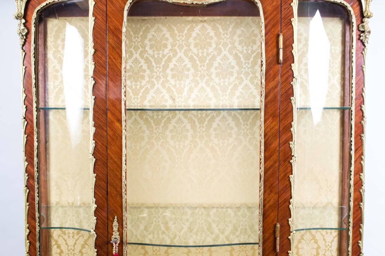 19th Century Antique French Kingwood Vernis Martin Vitrine, circa 1880