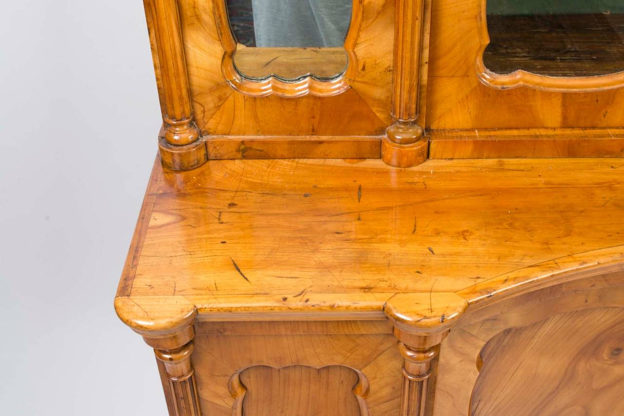 Antique French Fruitwood Cabinet Bookcase, circa 1880 1