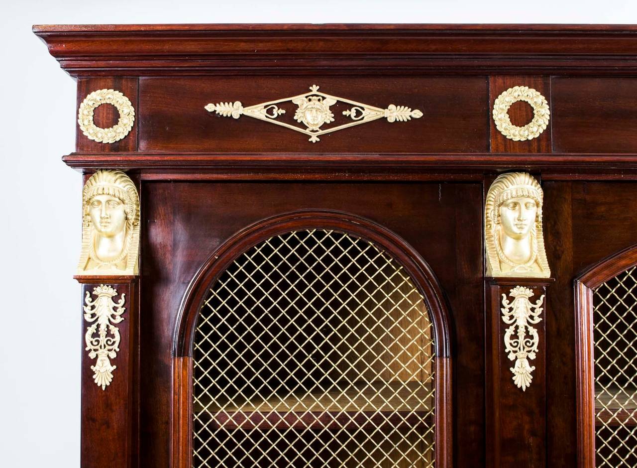19th Century Antique French Empire Mahogany Bookcase Cabinet c.1840