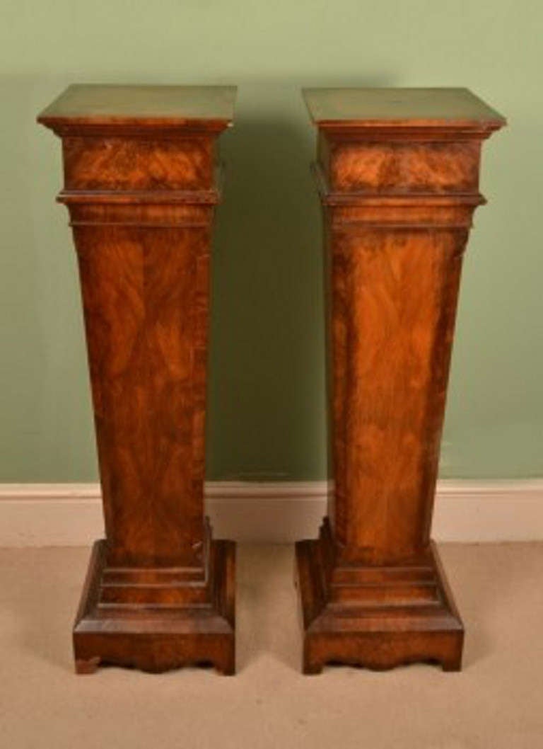 Antique Pair of Edwardian Walnut Pedestals c.1900