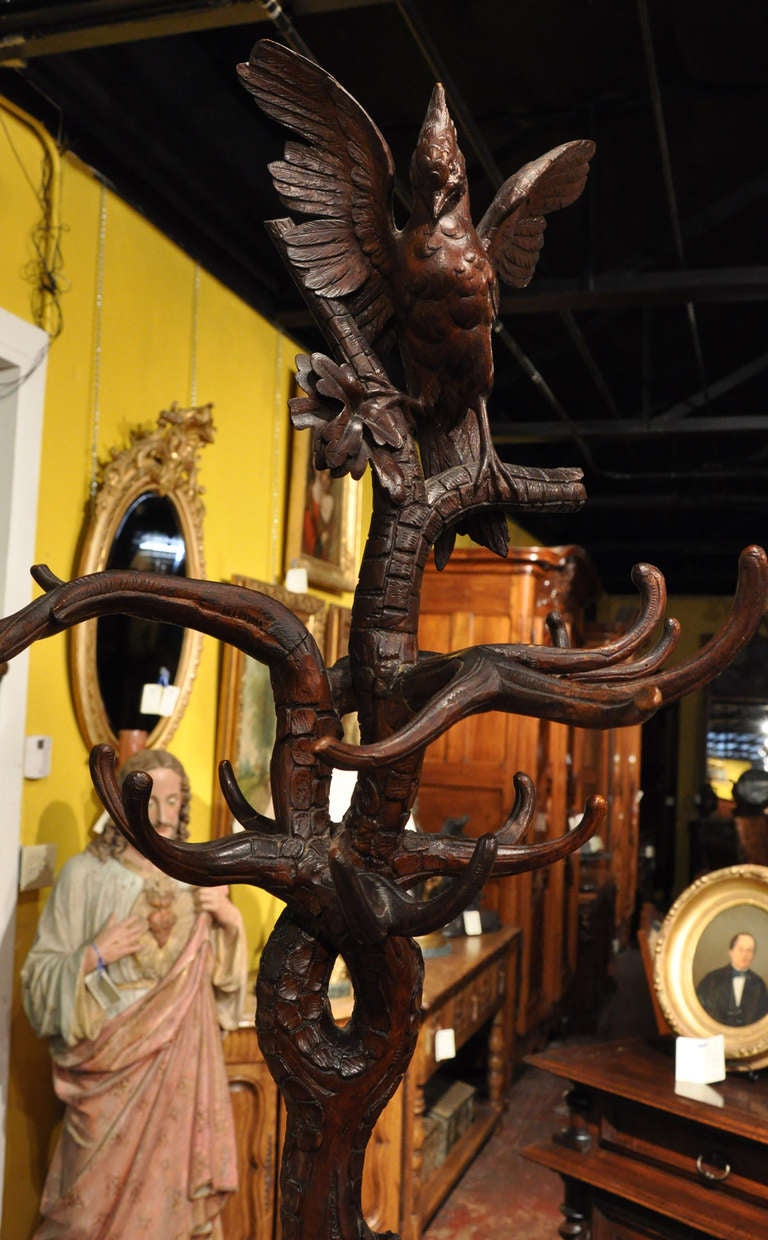 Unusual 19th C. Black Forest Hall Tree at 1stdibs