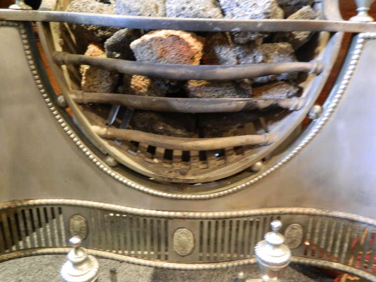 Ensemble de cheminée ou de grille de cheminée en fonte argentée de la fin du XIXe siècle Bon état - En vente à Savannah, GA