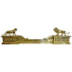 French Polished Brass Lion and Lioness Fender, 19th Century