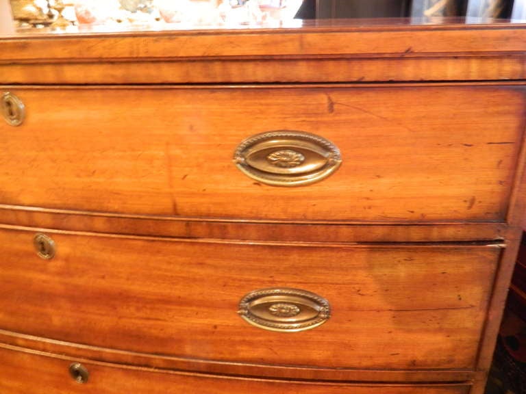 Georgian Style Mahogany Bow Front Chest of Drawers, circa 1840 In Excellent Condition In Savannah, GA