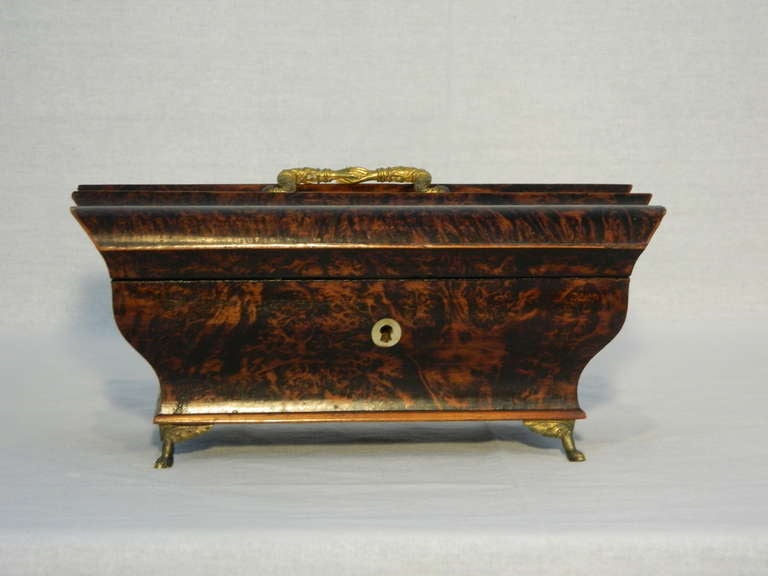 French Exotic Wood Bombe Form Brass Footed Box In Excellent Condition In Savannah, GA