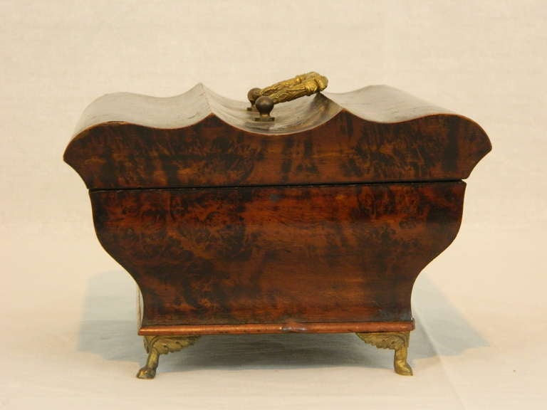 19th Century French Exotic Wood Bombe Form Brass Footed Box