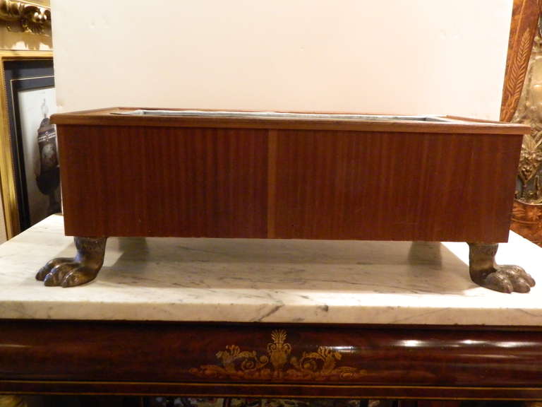20th Century Rectangular Wood Planter or Jardiniere with Brass Lion's Paw Feet