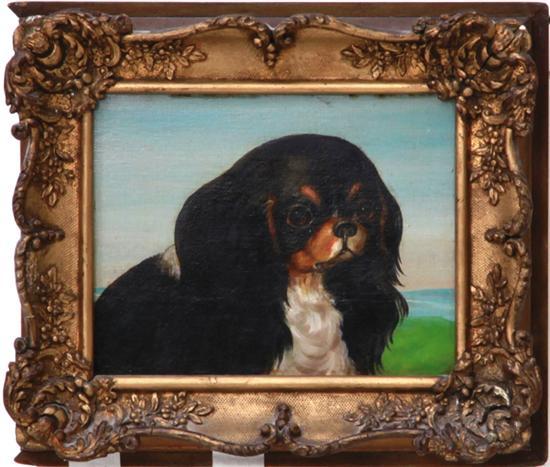 British school Portrait of Cavalier King Charles Spaniel oil on board, framed, unsigned