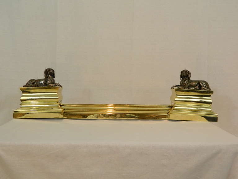 Pair of 19th century French dog andirons with fender. Dogs are in cast iron sitting on brass bases with a brass fender. Each dog on pedestal is 8.5